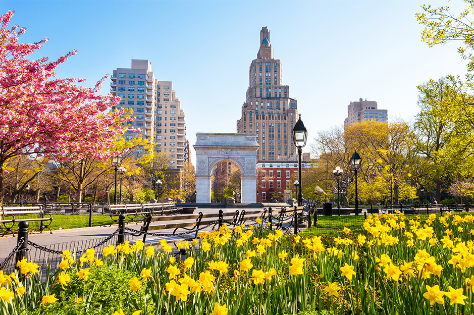 Wonderful views of New York City: discover them all